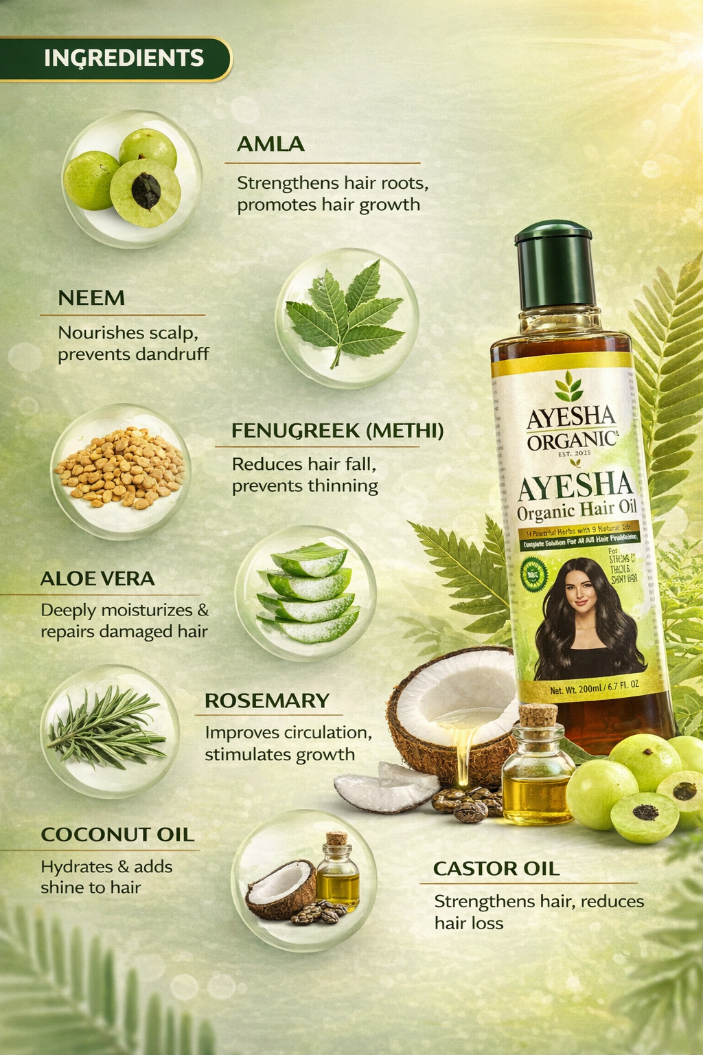 Ayesha Organic Hair Oil – Kamzor Baalon Ko Phir Se Zinda Aur Mazboot Banaye
